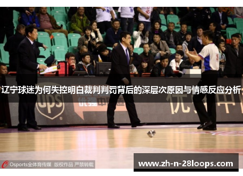 辽宁球迷为何失控明白裁判判罚背后的深层次原因与情感反应分析