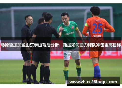 马德鲁加加盟山东泰山背后分析:新援如何助力球队冲击更高目标 马德鲁加加盟山东泰山背后分析:新援如何助力球队冲击更高目标